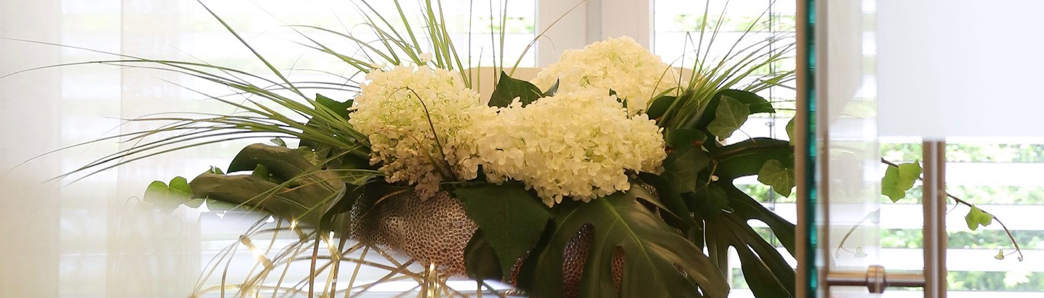 Einblick in die Praxis – Bild 4